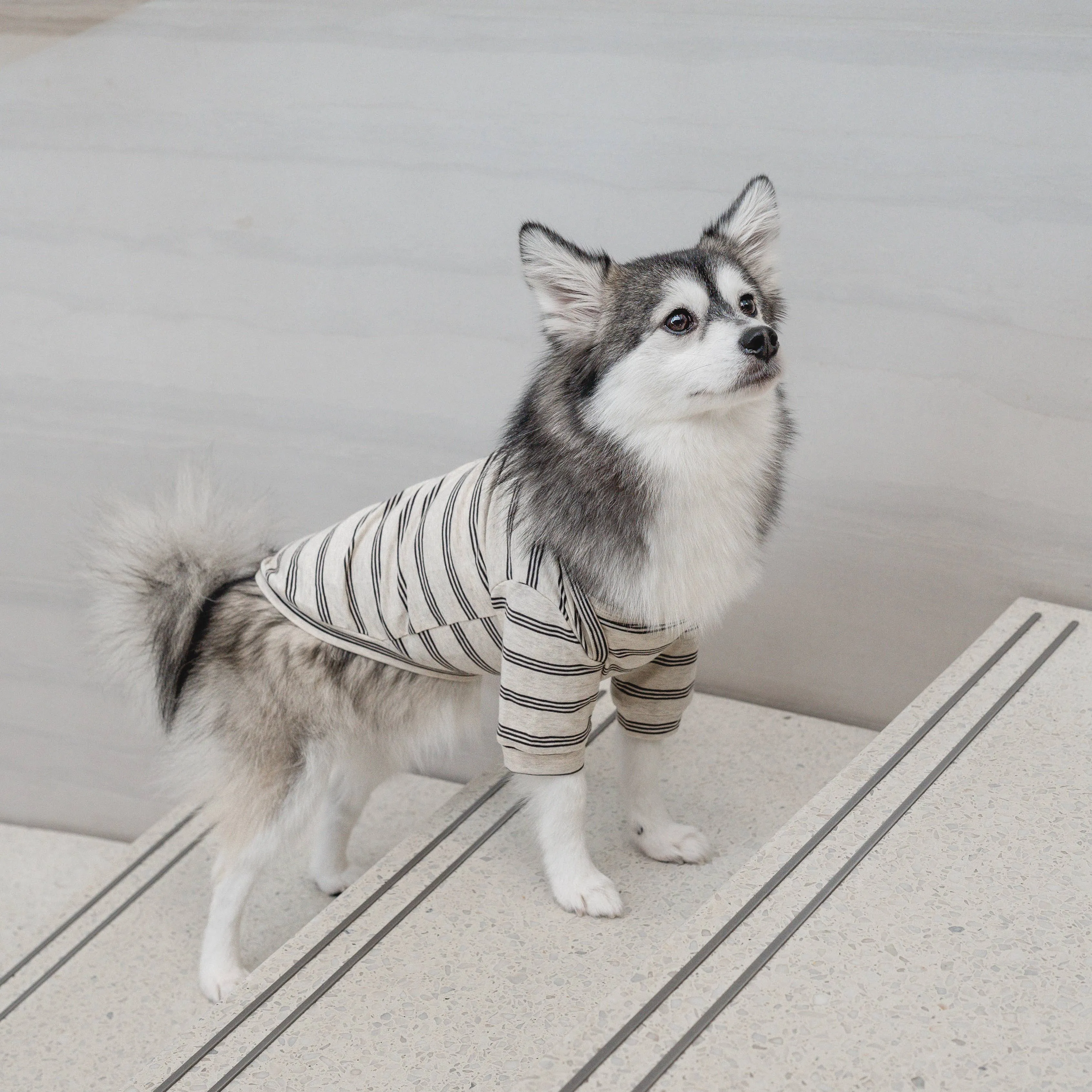 chelsea striped tee